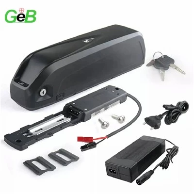 Hailong 36v Battery