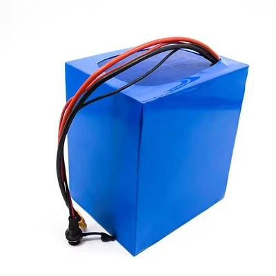 Paquet de bateria de bicicleta elèctrica de 24 V
