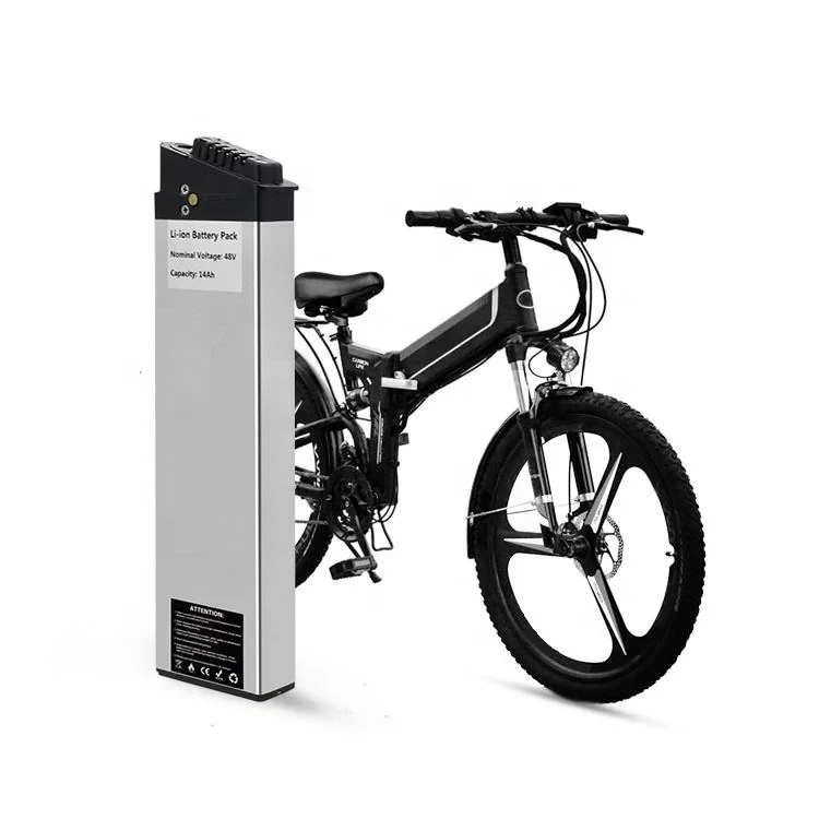 Bateria Ebike de 48V 1000W