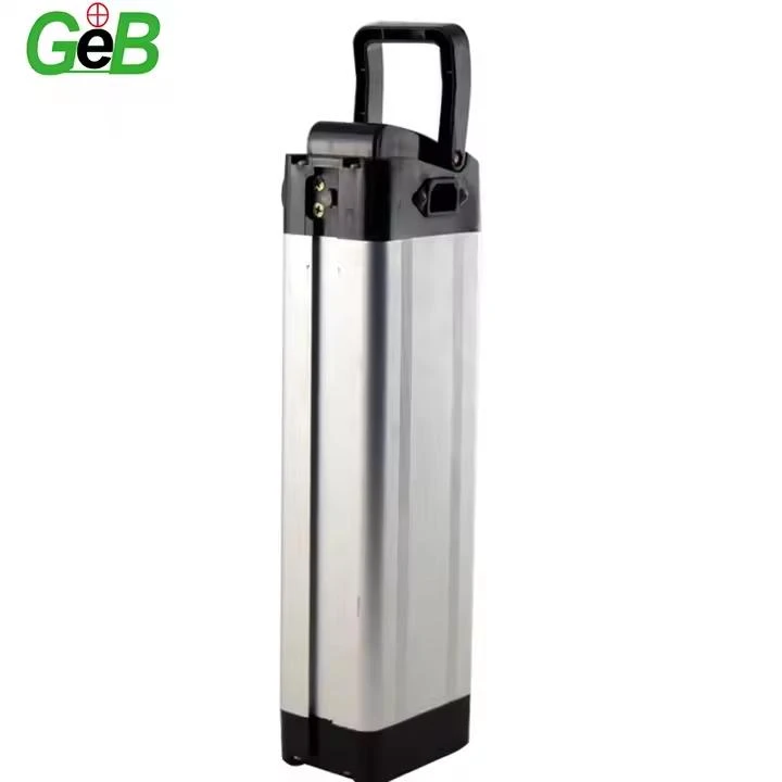 Bateria Ebike 48V 30ah