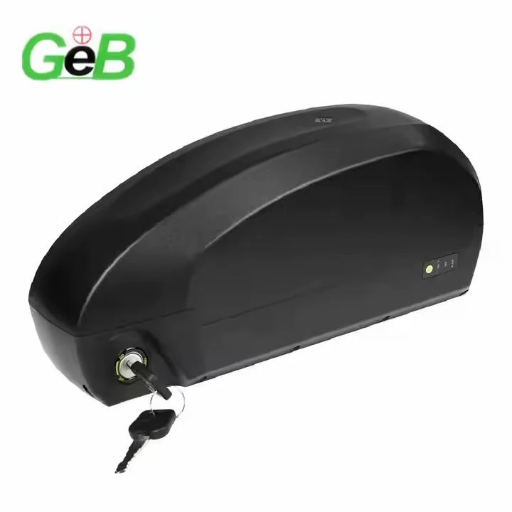 Bateria Ebike 48V 60h