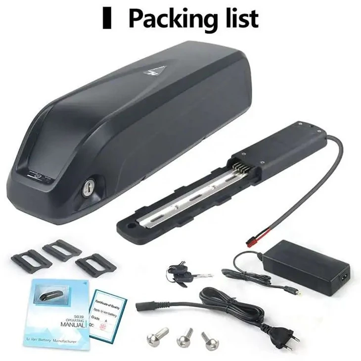 Hailong Battery 48v